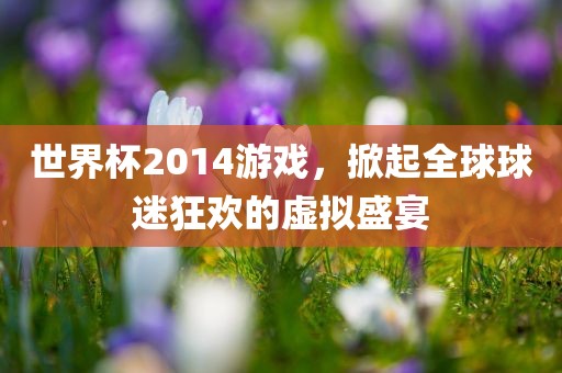 世界杯2014游戏，掀起全球球迷狂欢的虚拟盛宴