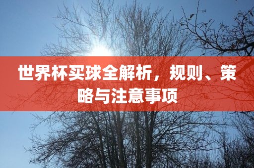 世界杯买球全解析，规则、策略与注意事项