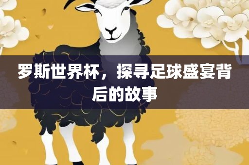 罗斯世界杯，探寻足球盛宴背后的故事