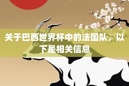 关于巴西世界杯中的法国队，以下是相关信息