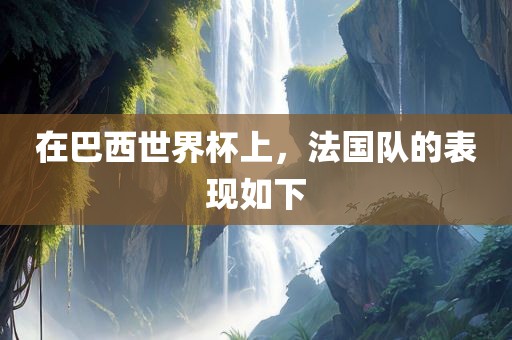 在巴西世界杯上，法国队的表现如下
