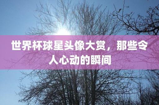 世界杯球星头像大赏，那些令人心动的瞬间