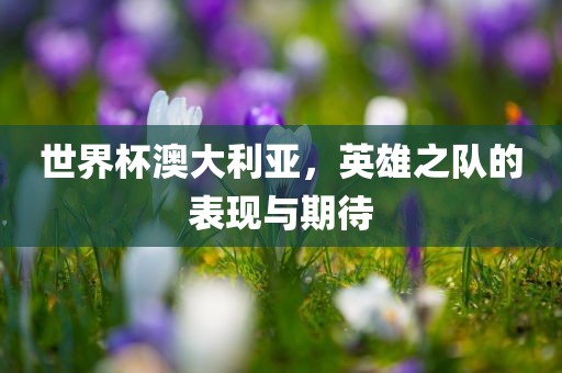 世界杯澳大利亚，英雄之队的表现与期待