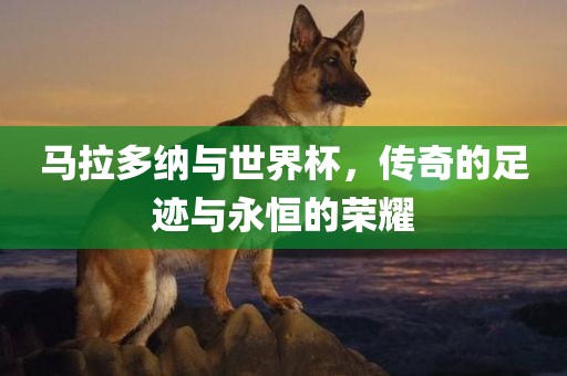 马拉多纳与世界杯，传奇的足迹与永恒的荣耀