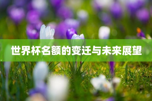 世界杯名额的变迁与未来展望