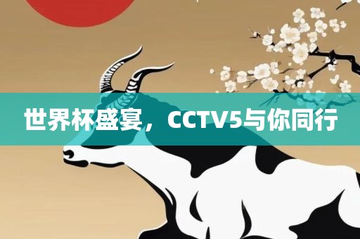 世界杯盛宴，CCTV5与你同行