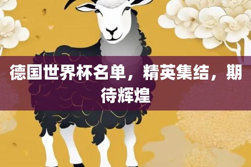 德国世界杯名单，精英集结，期待辉煌