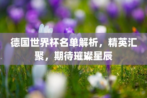 德国世界杯名单解析，精英汇聚，期待璀璨星辰
