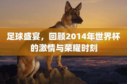 足球盛宴，回顾2014年世界杯的激情与荣耀时刻