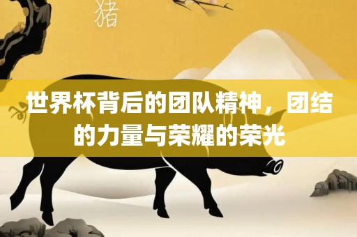 世界杯背后的团队精神，团结的力量与荣耀的荣光