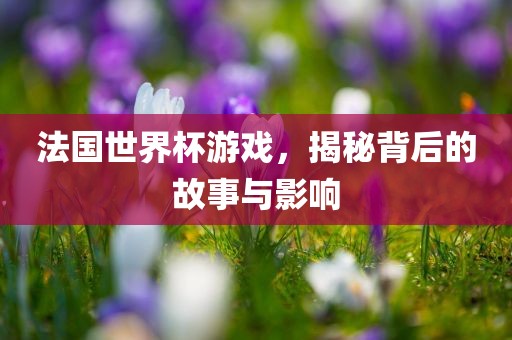 法国世界杯游戏，揭秘背后的故事与影响