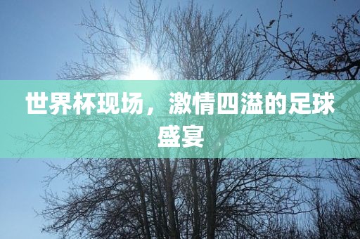 世界杯现场，激情四溢的足球盛宴