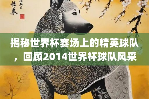 揭秘世界杯赛场上的精英球队，回顾2014世界杯球队风采