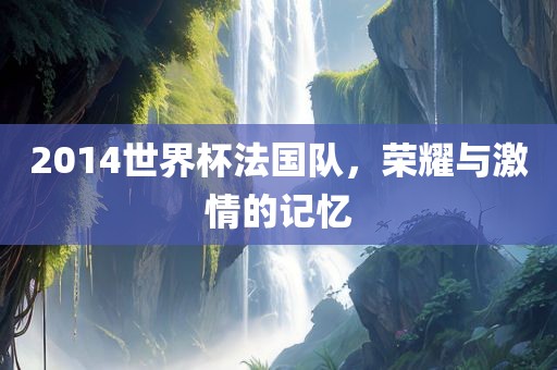 2014世界杯法国队，荣耀与激情的记忆