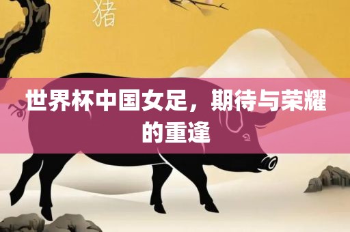 世界杯中国女足，期待与荣耀的重逢
