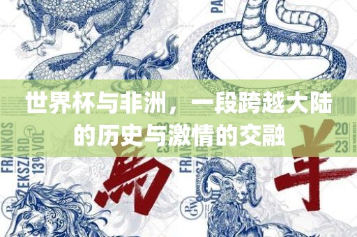 世界杯与非洲，一段跨越大陆的历史与激情的交融