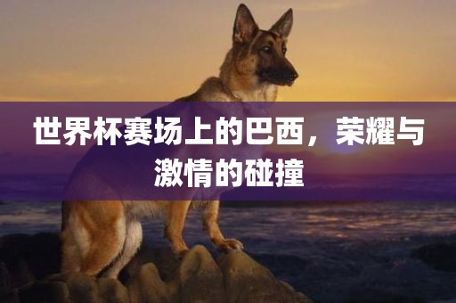 世界杯赛场上的巴西，荣耀与激情的碰撞
