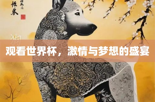 观看世界杯，激情与梦想的盛宴
