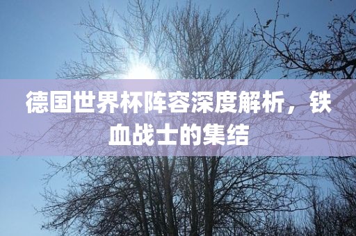 德国世界杯阵容深度解析，铁血战士的集结