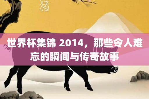 世界杯集锦 2014，那些令人难忘的瞬间与传奇故事