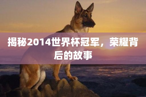 揭秘2014世界杯冠军，荣耀背后的故事