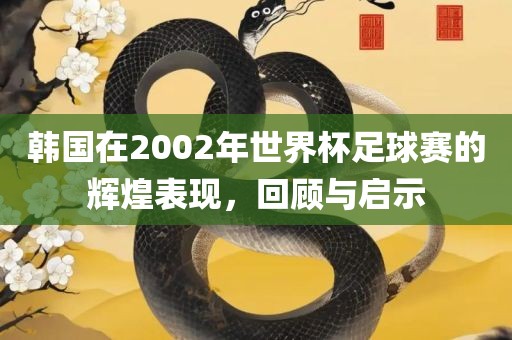 韩国在2002年世界杯足球赛的辉煌表现，回顾与启示