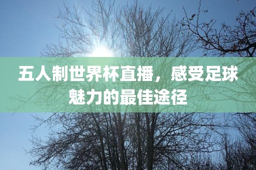 五人制世界杯直播，感受足球魅力的最佳途径