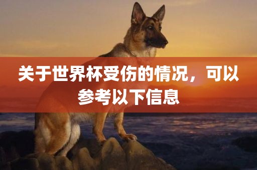 关于世界杯受伤的情况，可以参考以下信息
