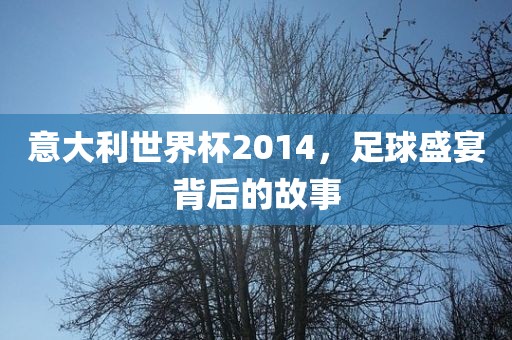意大利世界杯2014，足球盛宴背后的故事