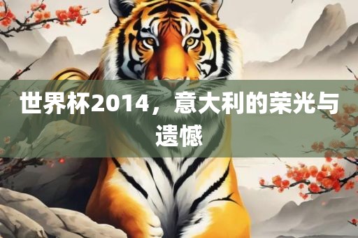 世界杯2014，意大利的荣光与遗憾