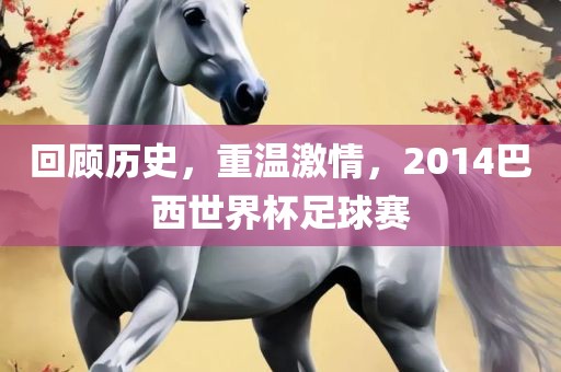回顾历史，重温激情，2014巴西世界杯足球赛
