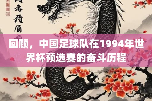 回顾，中国足球队在1994年世界杯预选赛的奋斗历程
