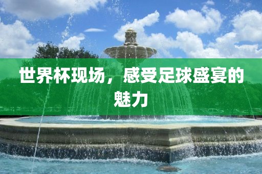 世界杯现场，感受足球盛宴的魅力
