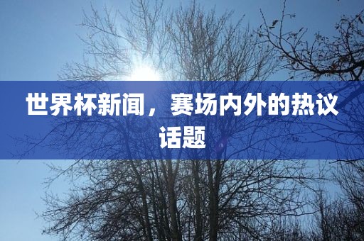 世界杯新闻，赛场内外的热议话题