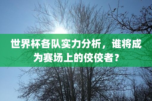 世界杯各队实力分析，谁将成为赛场上的佼佼者？