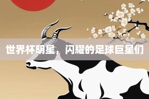 世界杯明星，闪耀的足球巨星们