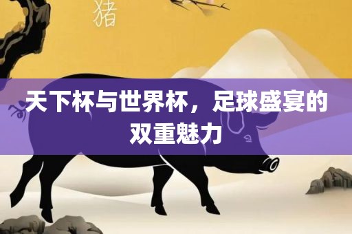 天下杯与世界杯，足球盛宴的双重魅力