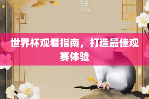 世界杯观看指南，打造最佳观赛体验
