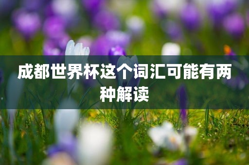 成都世界杯这个词汇可能有两种解读