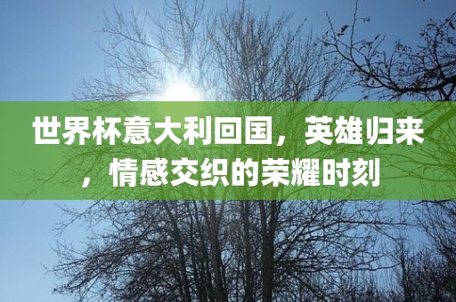 世界杯意大利回国，英雄归来，情感交织的荣耀时刻