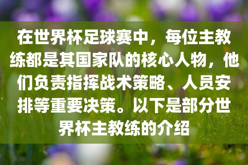 在世界杯足球赛中，每位主教练都是其国家队的核心人物，他们负责指挥战术策略、人员安排等重要决策。以下是部分世界杯主教练的介绍