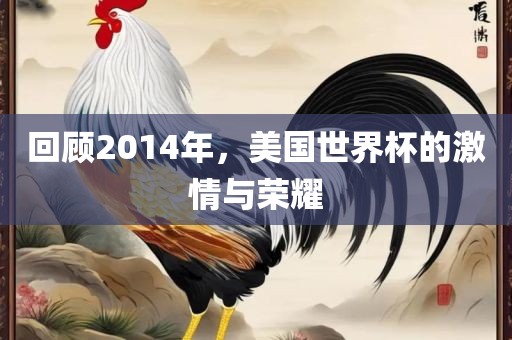 回顾2014年，美国世界杯的激情与荣耀