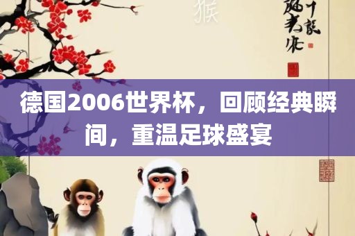 德国2006世界杯，回顾经典瞬间，重温足球盛宴