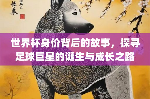世界杯身价背后的故事，探寻足球巨星的诞生与成长之路