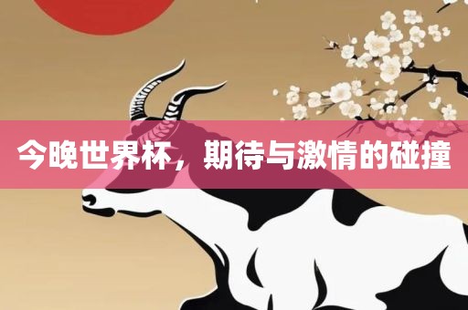 今晚世界杯，期待与激情的碰撞