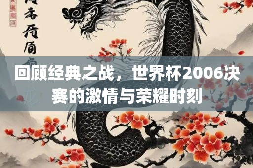 回顾经典之战，世界杯2006决赛的激情与荣耀时刻