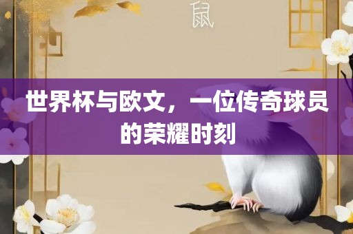 世界杯与欧文，一位传奇球员的荣耀时刻