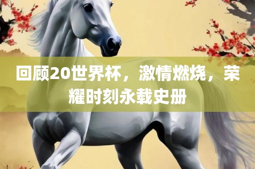 回顾20世界杯，激情燃烧，荣耀时刻永载史册眉山市正发家政服务有限公司