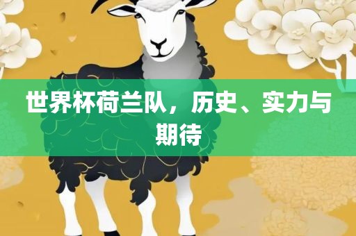 世界杯荷兰队，历史、实力与期待