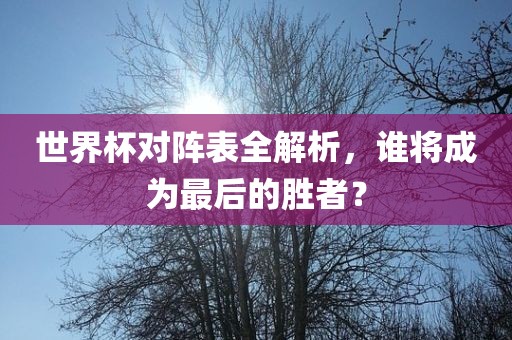 世界杯对阵表全解析，谁将成为最后的胜者？